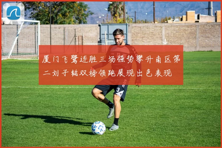 厦门飞鹭连胜三场强势攀升南区第二刘子铭双榜领跑展现出色表现