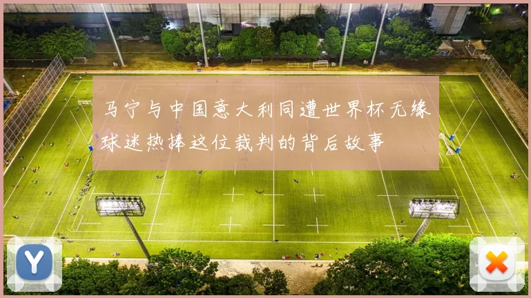 马宁与中国意大利同遭世界杯无缘球迷热捧这位裁判的背后故事